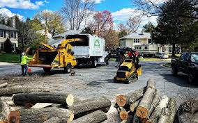 Best Tree Preservation Services  in Rome, IL